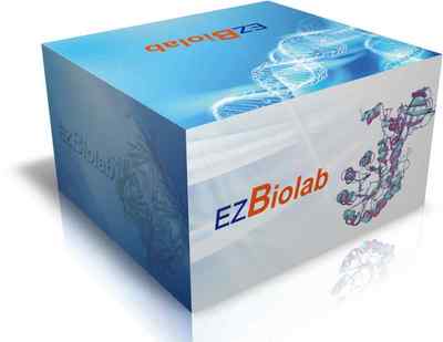 上海生孚生物技術(shù)展臺 信息技術(shù)賦能生物耗材產(chǎn)品展示